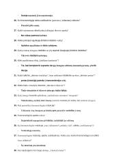 Medijų filosofijos tarpinio egzamino klausimai 7 puslapis