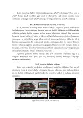 Reklamos agentūrų veikla elektroninėje erdvėje 11 puslapis