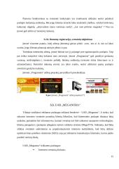 Reklamos agentūrų veikla elektroninėje erdvėje 15 puslapis