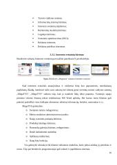 Reklamos agentūrų veikla elektroninėje erdvėje 16 puslapis