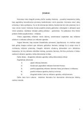 Reklamos agentūrų veikla elektroninėje erdvėje 3 puslapis