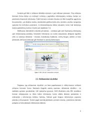 Reklamos agentūrų veikla elektroninėje erdvėje 6 puslapis