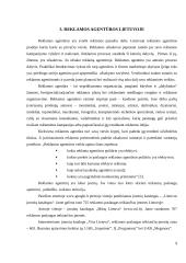 Reklamos agentūrų veikla elektroninėje erdvėje 9 puslapis