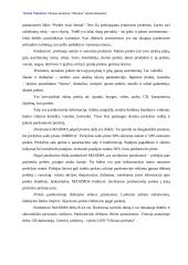 Reklamos analizė: UAB "Vilniaus prekyba" parduotuvė "Maxima" 2 puslapis