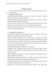 Reklamos analizė: UAB "Vilniaus prekyba" parduotuvė "Maxima" 11 puslapis