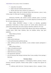 Reklamos analizė: UAB "Vilniaus prekyba" parduotuvė "Maxima" 16 puslapis