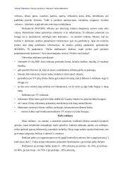 Reklamos analizė: UAB "Vilniaus prekyba" parduotuvė "Maxima" 17 puslapis