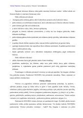 Reklamos analizė: UAB "Vilniaus prekyba" parduotuvė "Maxima" 18 puslapis