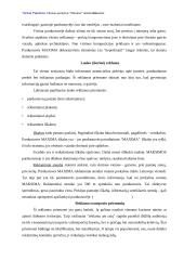 Reklamos analizė: UAB "Vilniaus prekyba" parduotuvė "Maxima" 19 puslapis