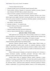 Reklamos analizė: UAB "Vilniaus prekyba" parduotuvė "Maxima" 20 puslapis