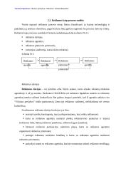 Reklamos analizė: UAB "Vilniaus prekyba" parduotuvė "Maxima" 6 puslapis