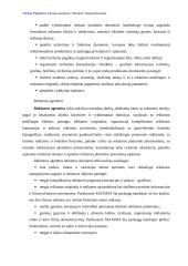 Reklamos analizė: UAB "Vilniaus prekyba" parduotuvė "Maxima" 7 puslapis