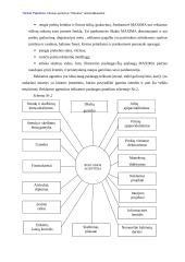 Reklamos analizė: UAB "Vilniaus prekyba" parduotuvė "Maxima" 8 puslapis