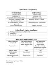 Fotosintezė, kvėpavimas, rūgimas 3 puslapis