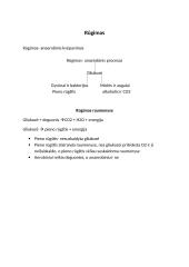 Fotosintezė, kvėpavimas, rūgimas 4 puslapis