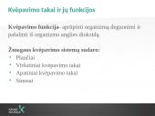 Kvėpavimo takų ligos ankstyvajame amžiuje 2 puslapis