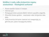 Kvėpavimo takų ligos ankstyvajame amžiuje 3 puslapis