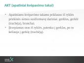 Kvėpavimo takų ligos ankstyvajame amžiuje 8 puslapis