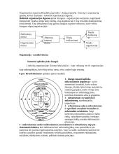 Organizacinė elgsena (konspektas) 4 puslapis