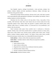 Reklamos veiklos efektyvumo įtaka firmos įvaizdžiui 2 puslapis