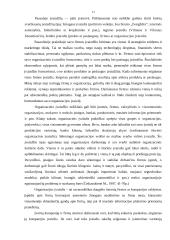 Reklamos veiklos efektyvumo įtaka firmos įvaizdžiui 13 puslapis