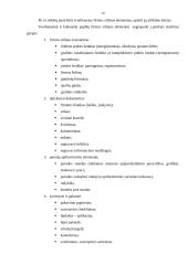 Reklamos veiklos efektyvumo įtaka firmos įvaizdžiui 18 puslapis