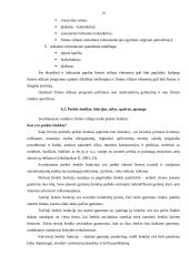 Reklamos veiklos efektyvumo įtaka firmos įvaizdžiui 19 puslapis