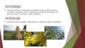 Togo Respublika (Togas) 4 puslapis