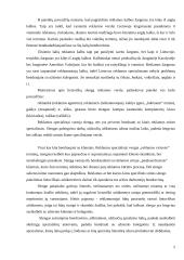 Reklamos žargonas 5 puslapis