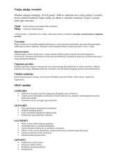 „AUGA group“ analizė 2 puslapis