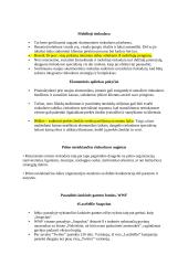 Rinkodaros konspektas 11 puslapis