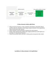 Rinkodaros konspektas 14 puslapis