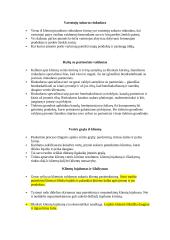 Rinkodaros konspektas 8 puslapis