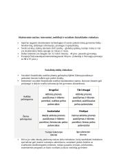 Rinkodaros konspektas 10 puslapis