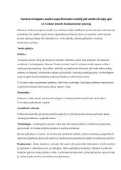 Įmonės komunikacijos plano analizė 8 puslapis