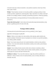 Įmonės komunikacijos plano analizė 9 puslapis