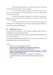 Tėvo ir sūnaus santykiai literatūroje. Planas 2 puslapis