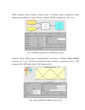 Nuolatinės srovės variklio valdymas neraiškios logikos reguliatoriumi 2 puslapis