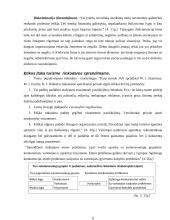 Rekreacijos ir turizmo makro ir mikro etikos problemos 6 puslapis