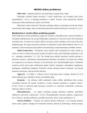 Rekreacijos ir turizmo makro ir mikro etikos problemos 8 puslapis