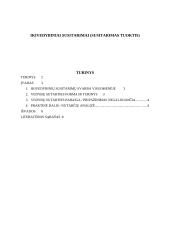 Ikivedybiniai susitarimai (susitarimas tuoktis)