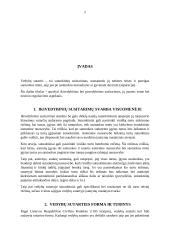 Ikivedybiniai susitarimai (susitarimas tuoktis) 2 puslapis