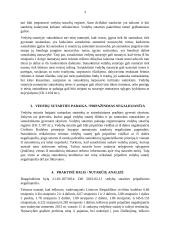 Ikivedybiniai susitarimai (susitarimas tuoktis) 3 puslapis