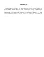 Rekreacijos ir turizmo raida renesanso laikotarpiu 13 puslapis