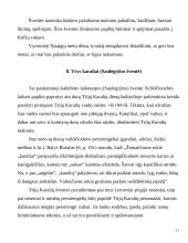 Rekreacijos tradicijos ir dabartis 11 puslapis