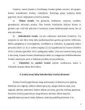 Rekreacijos tradicijos ir dabartis 4 puslapis