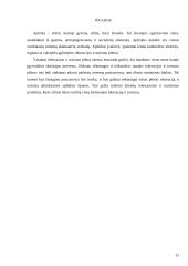 Rekreacinės aplinkos samprata. Ginčas 13 puslapis