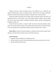 Rekreacinės aplinkos samprata. Ginčas 3 puslapis