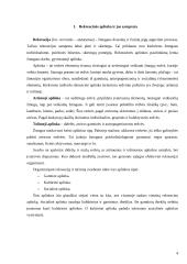 Rekreacinės aplinkos samprata. Ginčas 4 puslapis