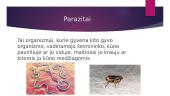Žmogaus parazitai 2 puslapis
